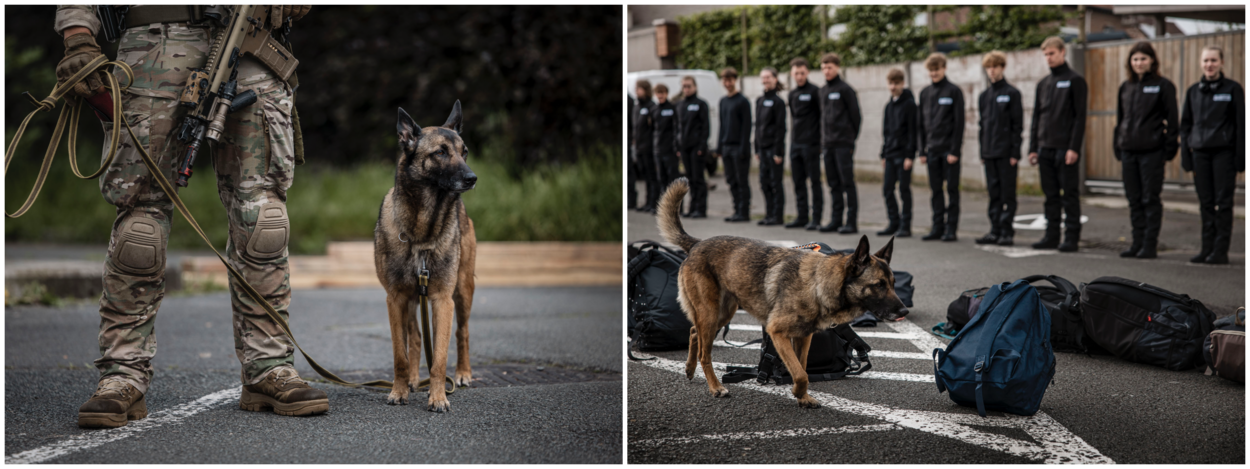 Mechelse herder Polly loopt snuffelend langs een rij met schooltassen, daarachter de jongeren in een rij opgesteld.