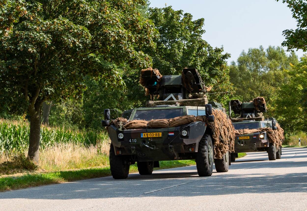 Twee Fenneks rijden op de verharde weg.