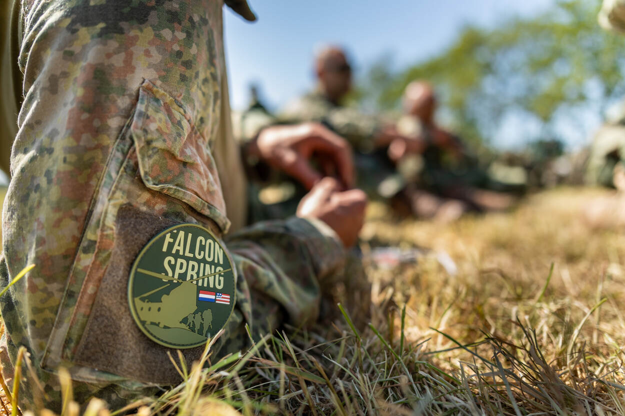 Badge Falcon Spring op mouw van militair.