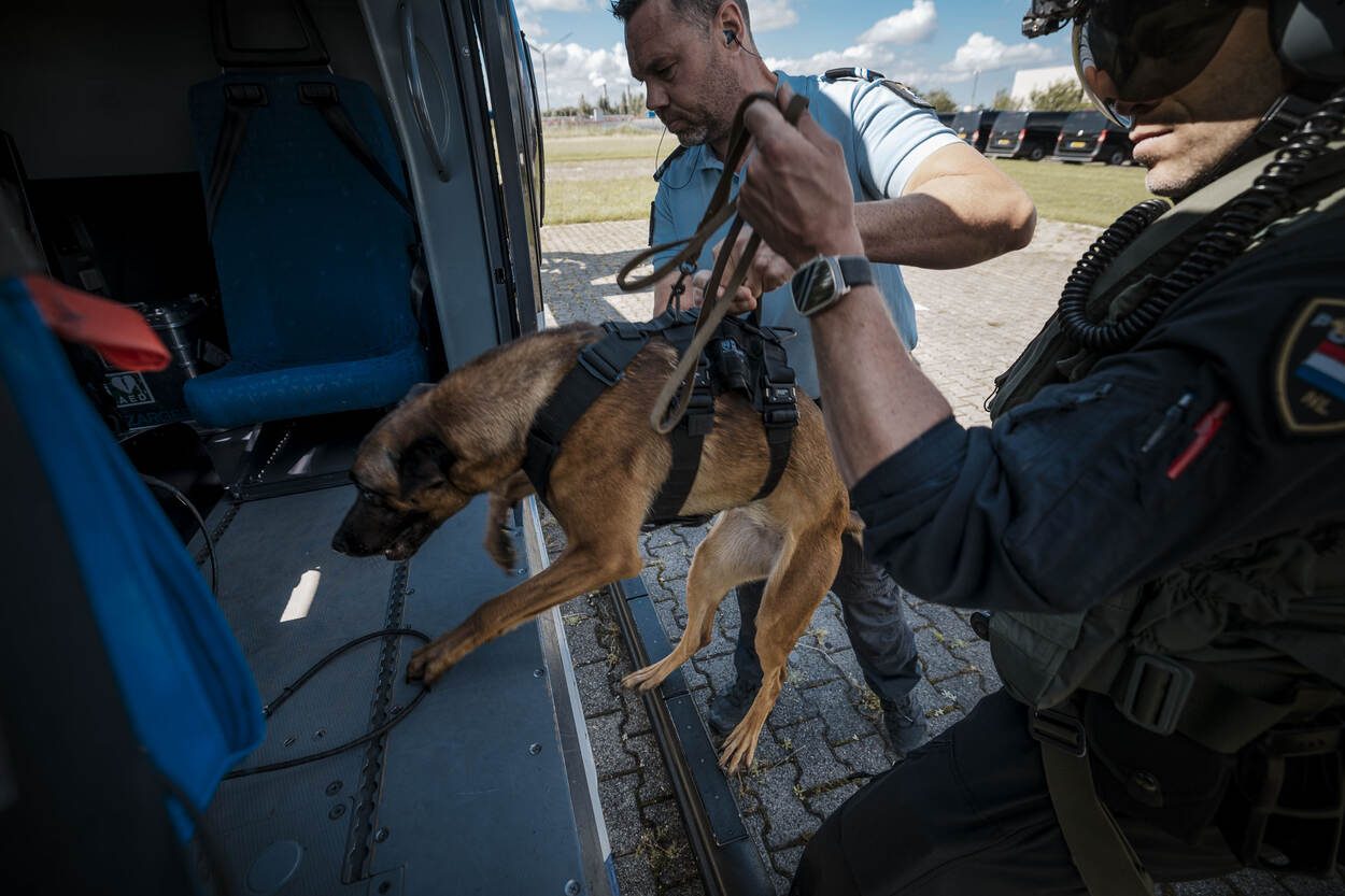 Een herdershond krijgt wat assistentie om in de helikopter te komen.