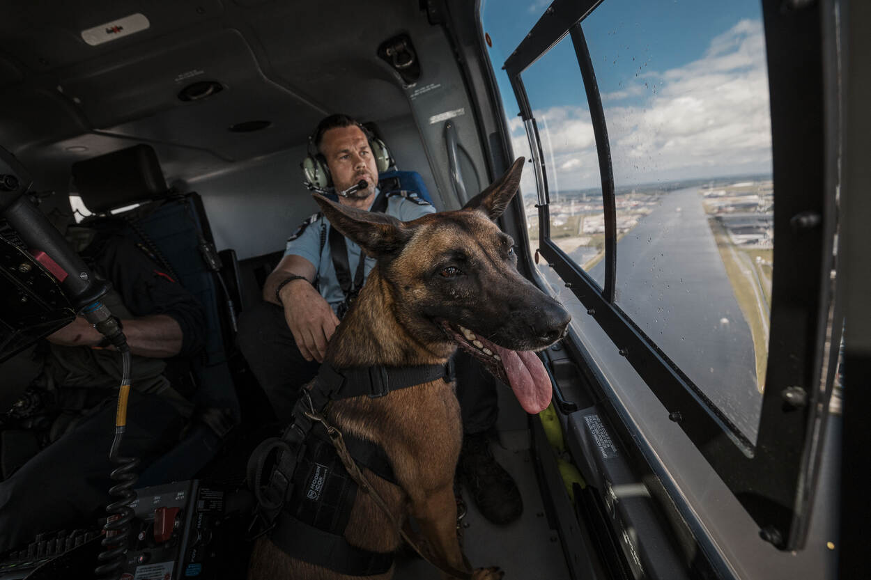 Een herdershond, met een marechaussee erachter, geniet van het uitzicht tijdens de vlucht.