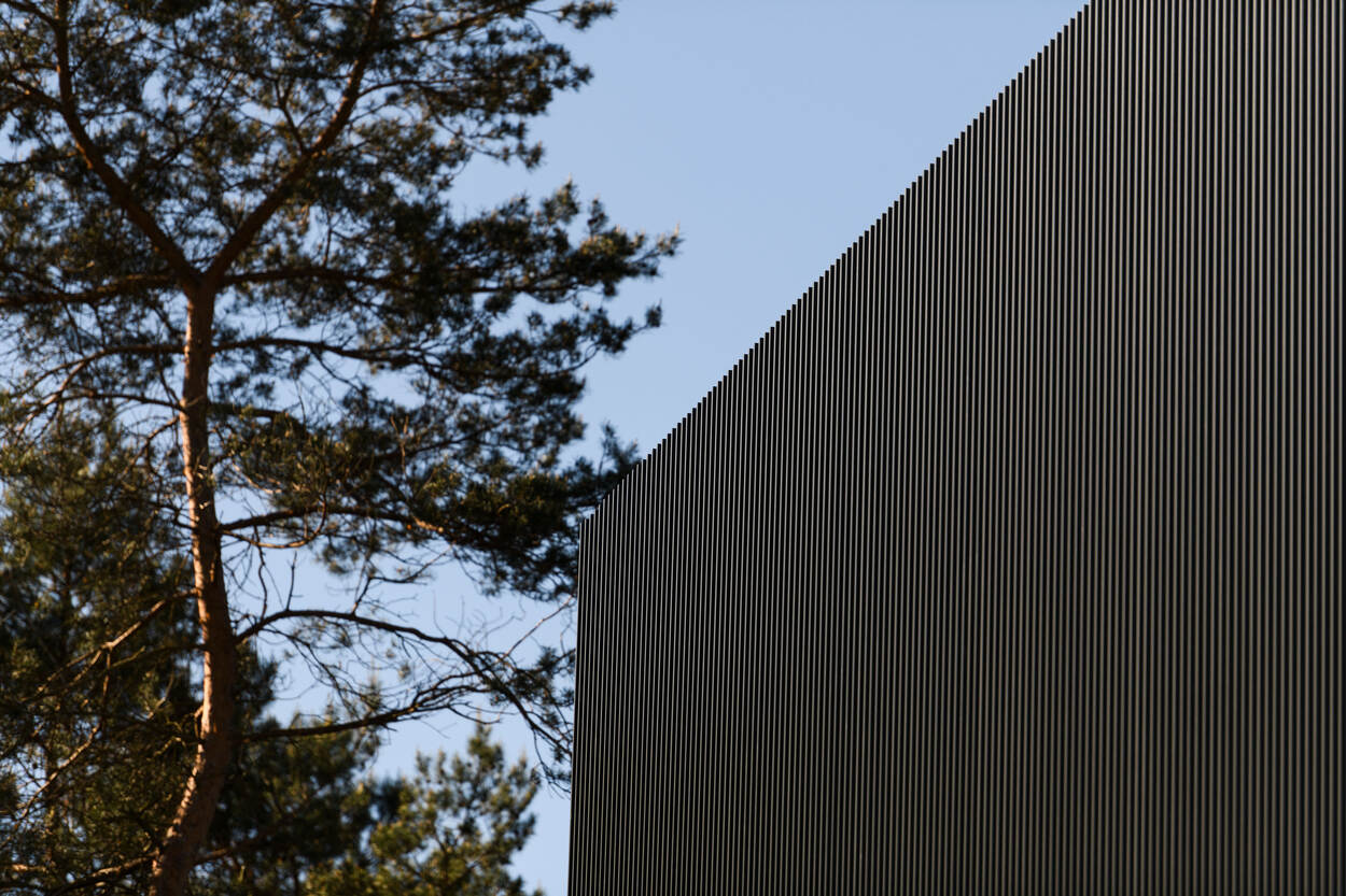 Naaldbomen met daarnaast gestreepte gevelhoek van datacentrum.