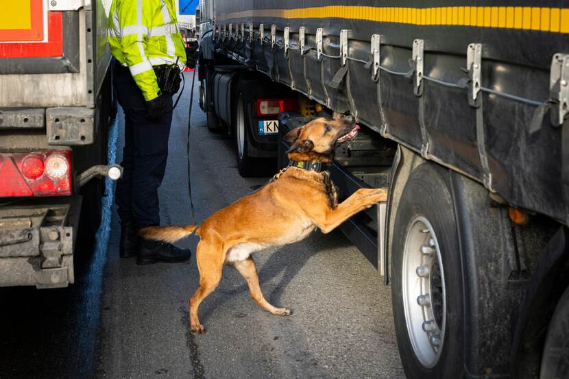 Een speurhond van de Marechaussee snuffelt bij een vrachtwagen.