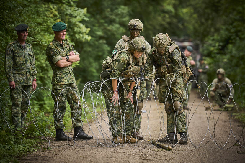 Koningin Maxima, gekleed in militair tenue, kijkt naar constantina’s in het veld.