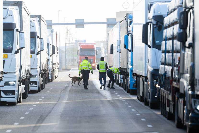 Hondengeleiders van de Koninklijke Marechaussee vinden regelmatig vreemdelingen in vrachtwagens die naar het Verenigd Koninkrijk willen gaan