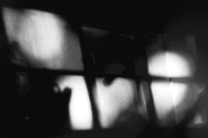 headerfoto MIVD  concept en realisatie: Frank Trim