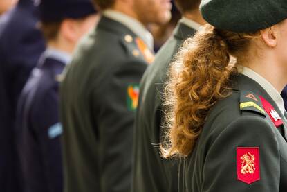 Militairen van verschillende krijgsmachtdelen naast elkaar.