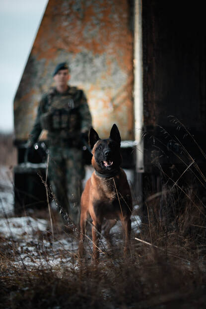 Diensthond met op de achtergrond de hondengeleider.